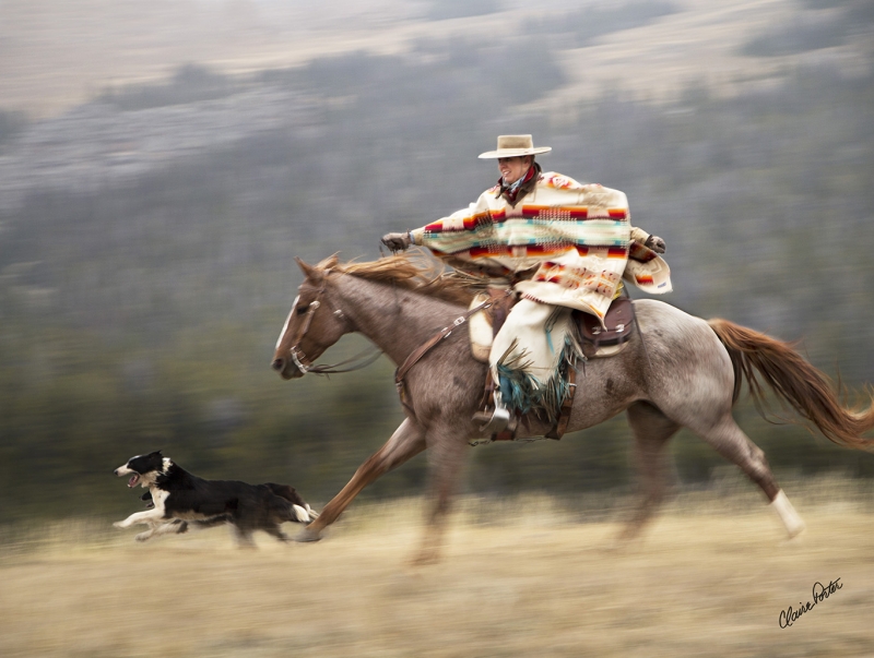 Cowboy Poncho by artist Claire Porter
